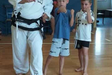 Twin Taekwondo 2017 1