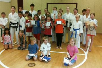 Twin Taekwondo 2017 3
